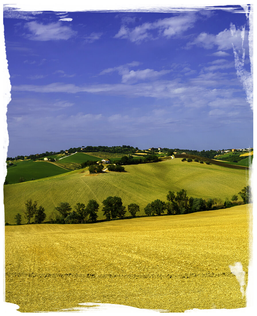 entroterra delle marche la colombaia